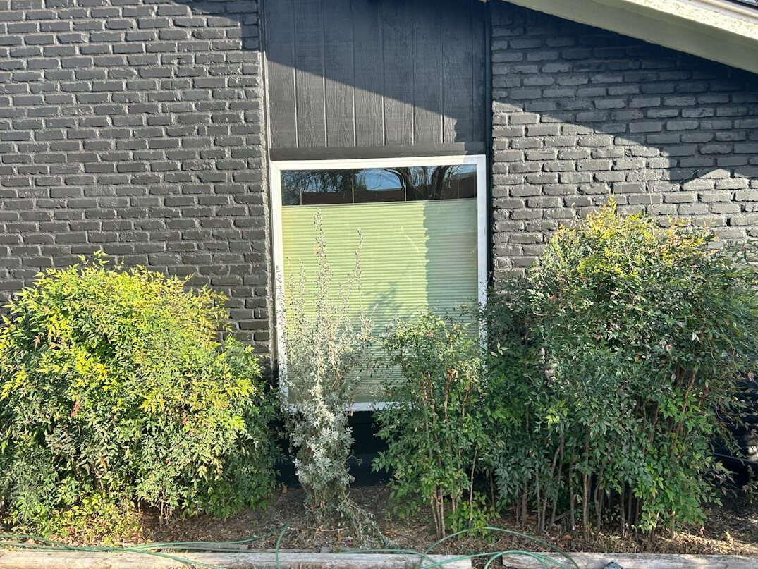 modern house exterior with garden
