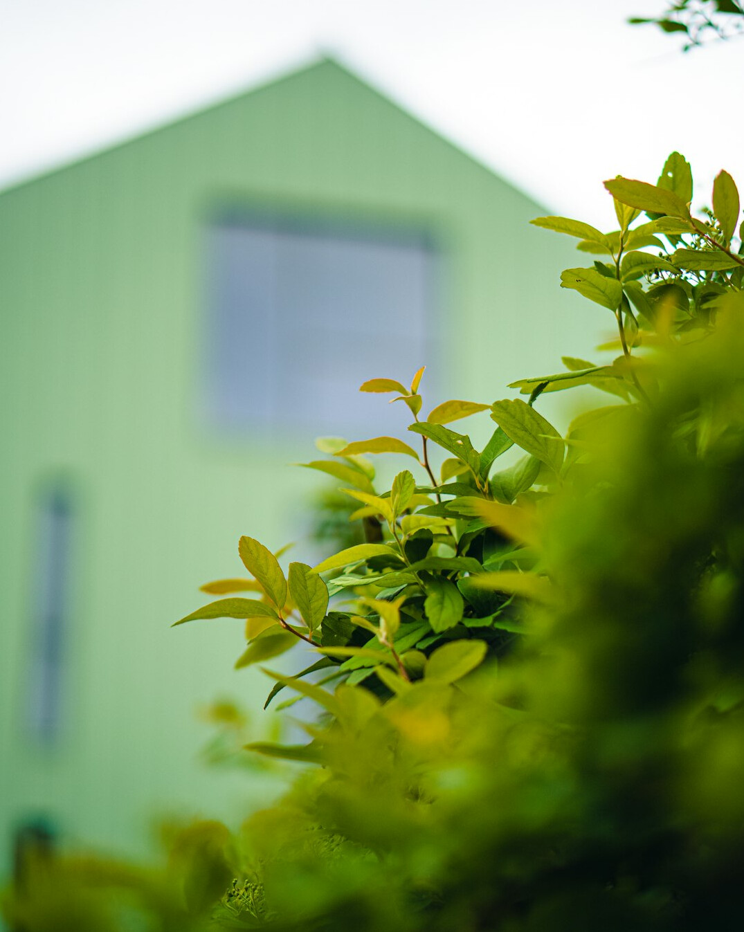 sustainable home insurance